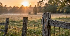 Sunrise over a misty pasture and rustic wooden fence.